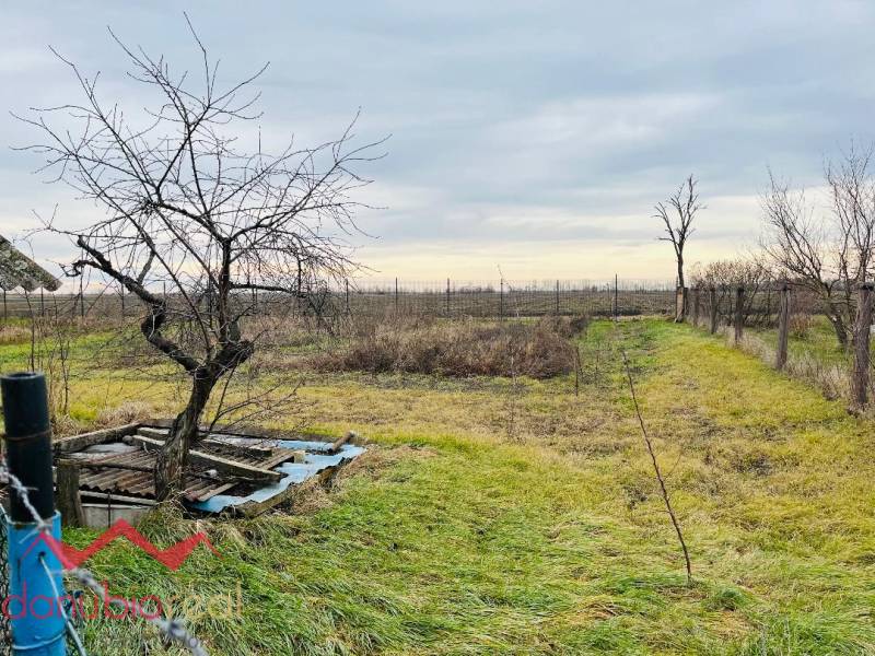 Danubioreal-Sabina Durcovic 0908636096, Predaj rodinného domu v Okoličnej na Ostrove časť Štúrová, okres Komárno 